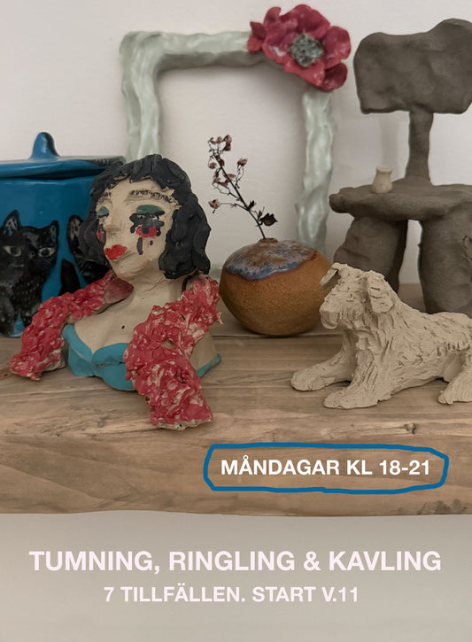 Kvällskurs 7ggr måndagar start v.11 - vt 2026