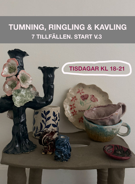 Kvällskurs 7ggr tisdagar start v.3 - vt 2026